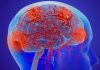 Elevated levels of PHGDH in the blood could signal the earliest stages of Alzheimer’s disease