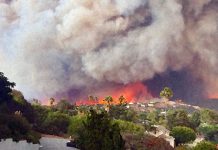 Proximity to forest fires may influence cancer risk