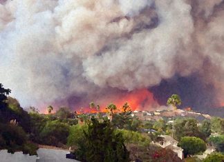 Proximity to forest fires may influence cancer risk