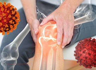 SARS-CoV-2 Infections Cause Inflammatory Bone Loss Leading To Long COVID Skeletal Health Issues