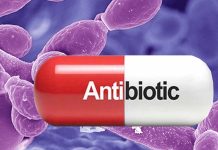 People who use antibiotics are more likely to get fungal infections due to the disruption of the immune system in the gut