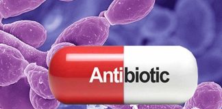 People who use antibiotics are more likely to get fungal infections due to the disruption of the immune system in the gut