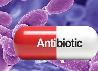 People who use antibiotics are more likely to get fungal infections due to the disruption of the immune system in the gut