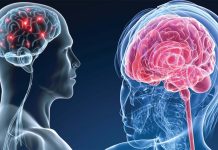 Pro-cognitivi e potenziatori del cervello