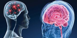 Pro-cognitivi e potenziatori del cervello