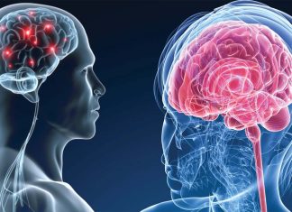 Pro-cognitivi e potenziatori del cervello