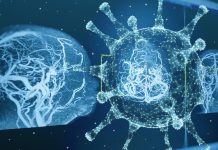 SARS-CoV-2 Infections Causes Widespread Prevalence Of Inflammatory Microvasculopathy In Brains Of Infected