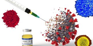 Experimental COVID-19 vaccine in combination with adjuvant provides mutation-resistant T cell protection