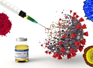 Experimental COVID-19 vaccine in combination with adjuvant provides mutation-resistant T cell protection