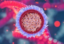 SARS-CoV-2 causes host miRNA dysregulation and produces new miRNAs resulting in variable clinical manifestations