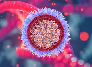 SARS-CoV-2 causes host miRNA dysregulation and produces new miRNAs resulting in variable clinical manifestations
