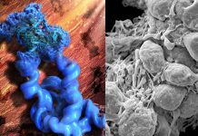 Combination of nucleic acid nanotechnology and cryo-EM enables visualization of RNA structures at near-atomic resolution