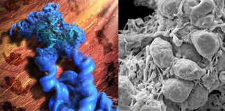 Combination of nucleic acid nanotechnology and cryo-EM enables visualization of RNA structures at near-atomic resolution