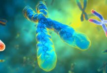 COVID-19 : body’s ability to create cell division falls off significantly in old age increasing death rate