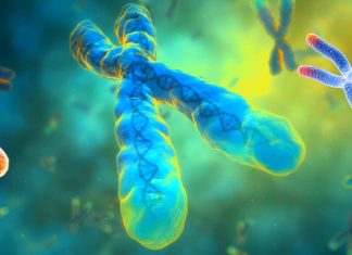 COVID-19 : body’s ability to create cell division falls off significantly in old age increasing death rate