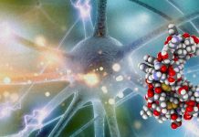 Brain-derived neurotrophic factor (BDNF) plays an essential role in neuroregeneration and neuroprotection