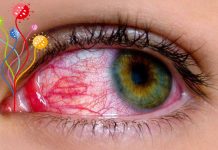 Gli Occhi Sono un Paradiso per i Virus