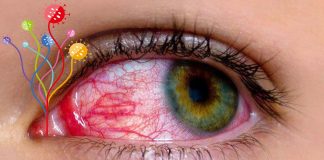 Gli Occhi Sono un Paradiso per i Virus