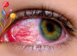 Gli Occhi Sono un Paradiso per i Virus