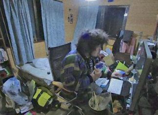 Researchers have discovered a number of biomarkers in the blood associated with Hikikomori