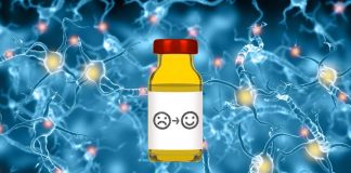 La ketamina agisce come un rapido antidepressivo aumentando l’attività del piccolissimo numero di neuroni neonati