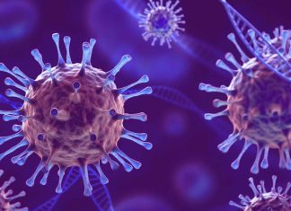 SARS-CoV-2 Replicates In Tissues For Months In Post-COVID Individuals