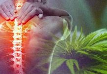 The effectiveness of cannabis-related products to treat chronic pain is surprisingly thin