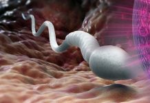 Israeli scientists have developed an innovative platform to create sperm in a laboratory through a microchip
