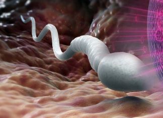 Israeli scientists have developed an innovative platform to create sperm in a laboratory through a microchip