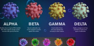 Chinese Scientists Identify New SARS-CoV-2 Gamma Variants In Shandong