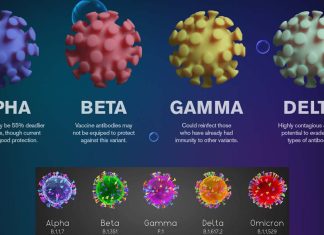 Chinese Scientists Identify New SARS-CoV-2 Gamma Variants In Shandong