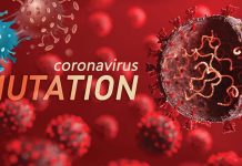 Gene Mutations In Emerging SARS-CoV-2 Variants Are Altering Pathogenesis