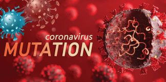 Gene Mutations In Emerging SARS-CoV-2 Variants Are Altering Pathogenesis