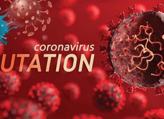 Gene Mutations In Emerging SARS-CoV-2 Variants Are Altering Pathogenesis