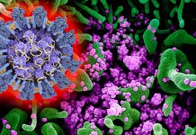 SARS-CoV-2 mutations K417 – E484 – N501 found on most of the emerging SARS-CoV-2 variants are causing current antibody treatments to be ineffective