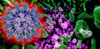 SARS-CoV-2 mutations K417 – E484 – N501 found on most of the emerging SARS-CoV-2 variants are causing current antibody treatments to be ineffective