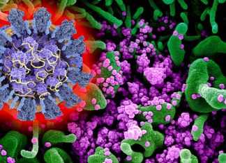 SARS-CoV-2 mutations K417 – E484 – N501 found on most of the emerging SARS-CoV-2 variants are causing current antibody treatments to be ineffective