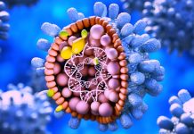 SARS-CoV-2 Causes Epigenetic Changes To Various Genes In Human Host
