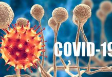 COVID-19: increase in deaths from fungal infections during the pandemic