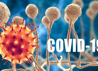 COVID-19: increase in deaths from fungal infections during the pandemic