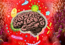 By killing essential gut bacteria Antibiotics ravage athletes motivation and endurance