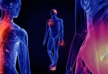 Cedars-Sinai researchers have identified the NLRP11 gene that plays an essential role in the innate human immune system