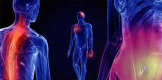 Cedars-Sinai researchers have identified the NLRP11 gene that plays an essential role in the innate human immune system