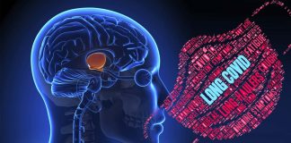 Individuals With Long COVID Typically Suffer Massive Brain Neuroinflammation Including In The Thalamus Region