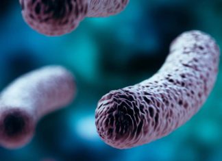 Metabolite produced by bacteria in the gut promotes neural cell death resulting in cognitive decline