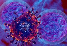 SARS-CoV-2 Coronavirus Is Able To Evade Cytotoxic Responses Of Natural Killer Cells And Cause Immune Dysfunction