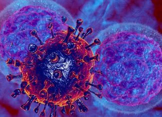 SARS-CoV-2 Coronavirus Is Able To Evade Cytotoxic Responses Of Natural Killer Cells And Cause Immune Dysfunction