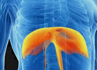 Even Asymptomatic And Mild COVID-19 Causes Neuromuscular Damage To The Diaphragm