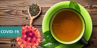 L-Theanine Supplements And Derivatives Could Be Used To Treat SARS-CoV-2 Infections