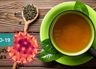 L-Theanine Supplements And Derivatives Could Be Used To Treat SARS-CoV-2 Infections